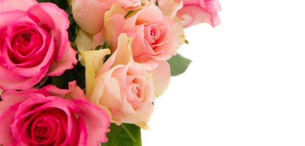 cropped-closeup-shot-pink-rose-bouquet-isolated-white-background-with-copy-space-scaled-1.jpg