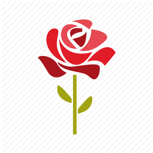 rose-icon-png-17
