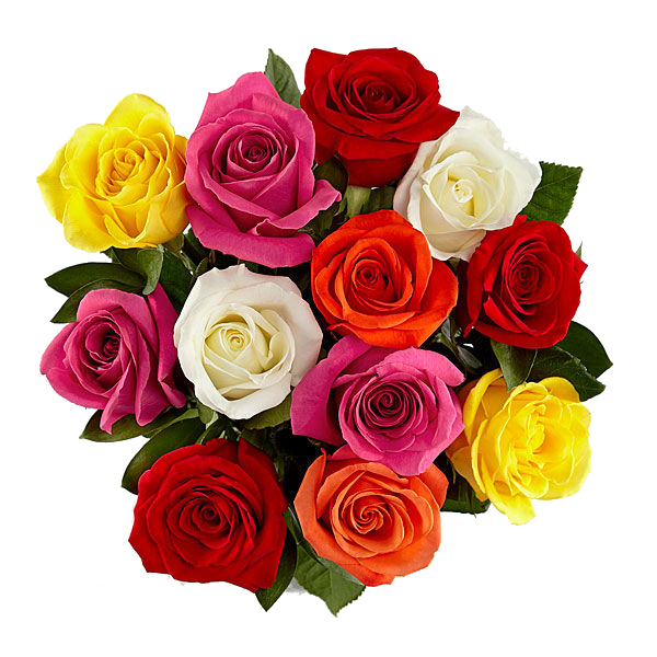 1-dozen-of-mix-color-roses